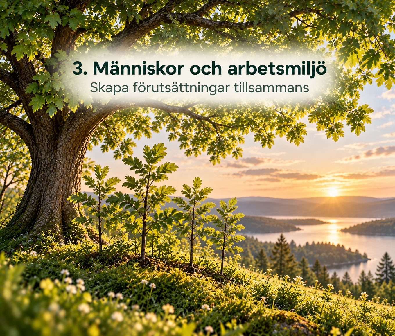 Unga träd som växer tillsammans under ett större träd och symboliserar människor, arbetsmiljö och utveckling